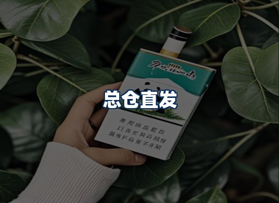 专业团队办公环境